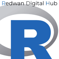 Redwan Digital Hub – AI-Driven Digital Marketing Solutions